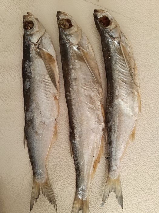Продам вяленные рыбы