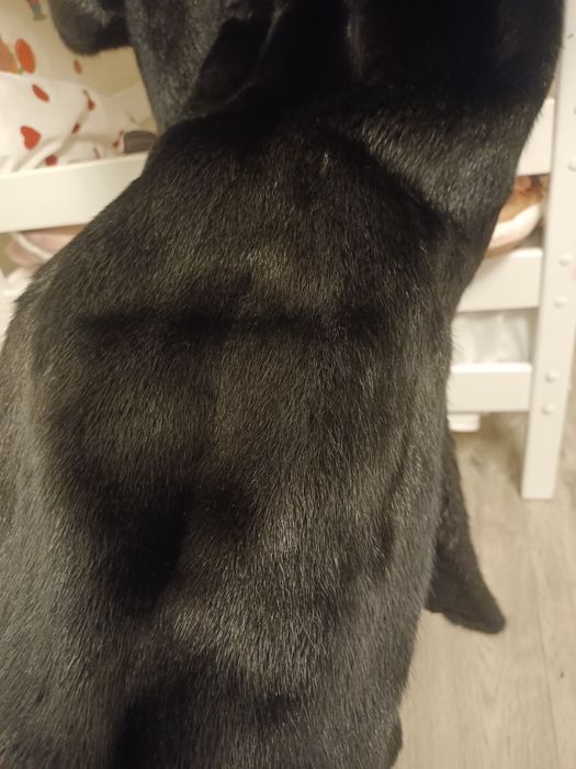 Продам шубу норка