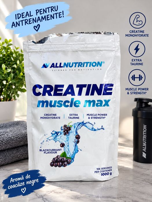 Creatina monohidrata 700 g allnutrition