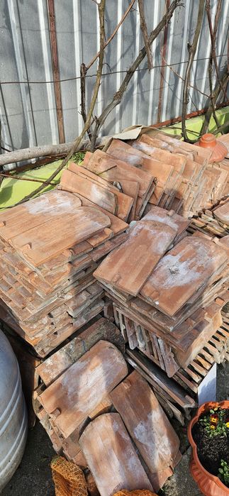 Vand tigla bună. Solzi