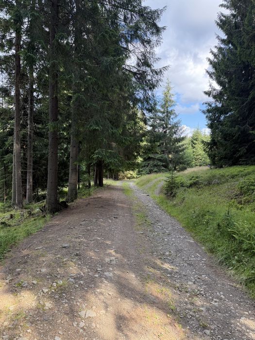 Vânzare teren 7,63 ha Dorna-Arini | Compact | Pădure și Pășune