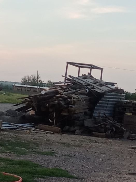 Кругляк сатылады ағаштар