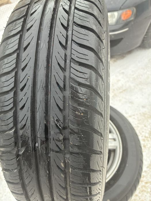 Торусы 14р лето