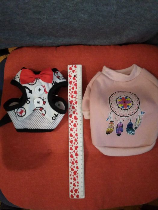 Дрешки и аксесоари за малко куче