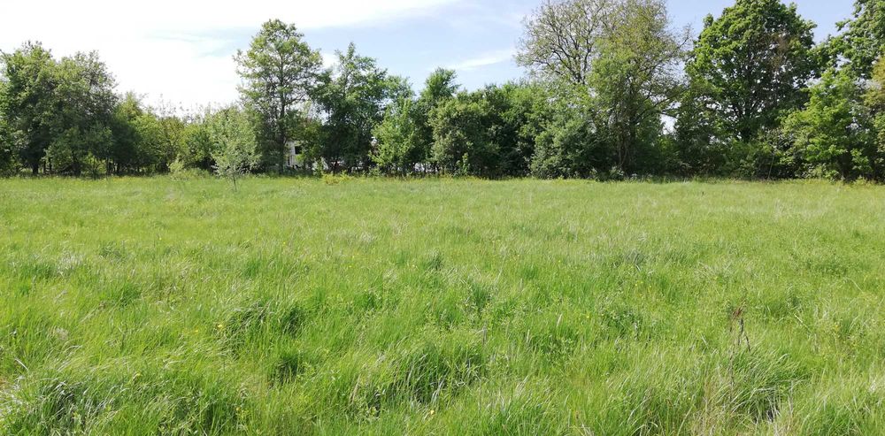 Vand teren intravilan 11.500 mp + cladire de renovat\demolat in Varadia de Mures, jud. Arad