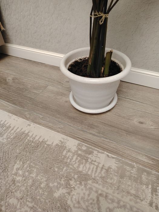 Горшок для комнатных растений