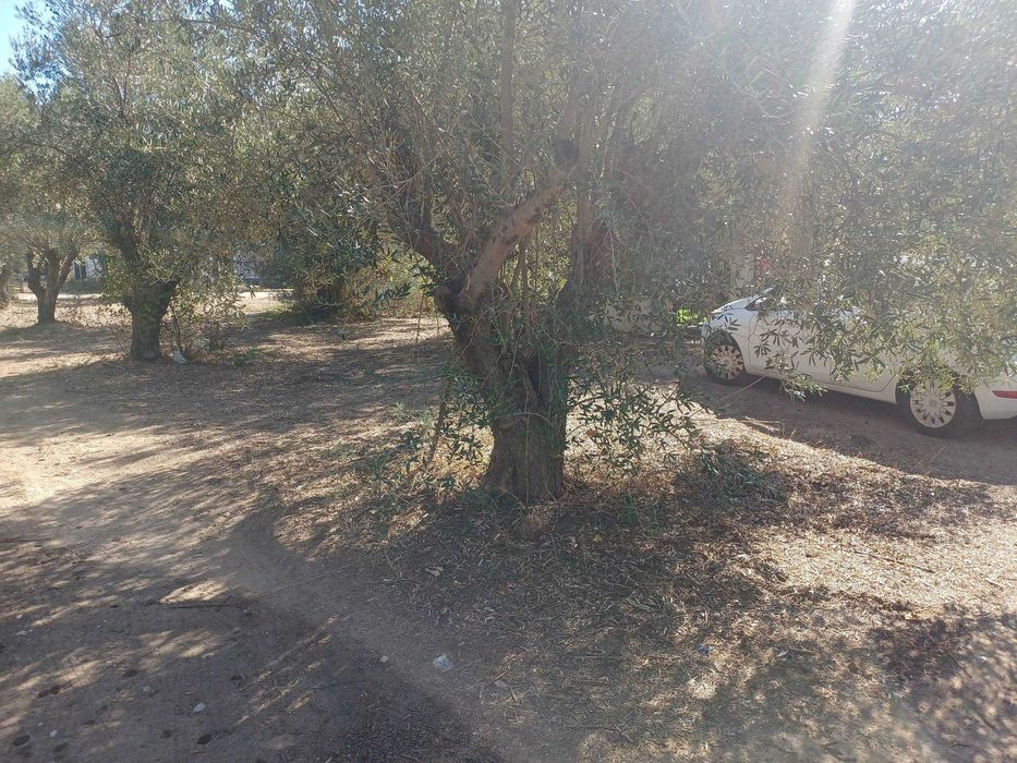 Продава се парцел 461 м2 на 2 улици в регулация в Неа Врасна, Гърция