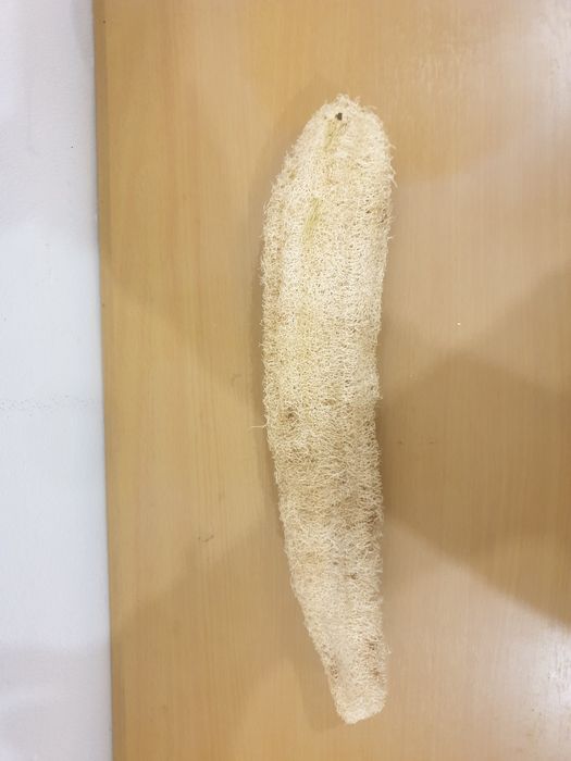 Lufa burete natural luffa