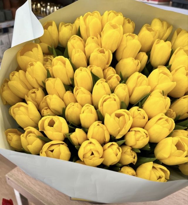 Тюльпаны есть Астана