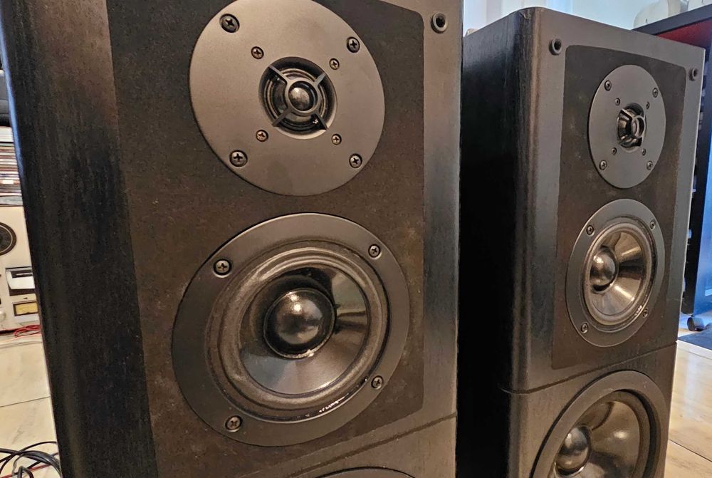 Boxe Technics SB-EX3 Bi-Wire, 3 cai, bass reflex