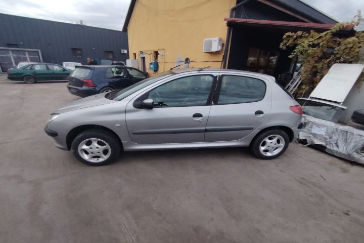 Punte spate Peugeot 206 2001 1.4 MT (75 hp)