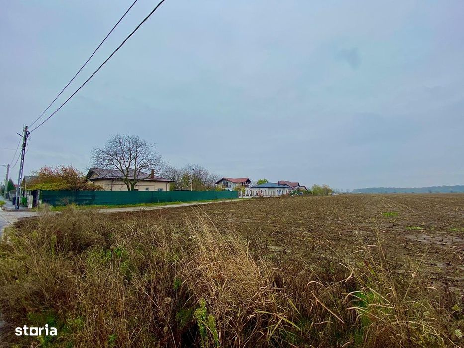 Teren intravilan Dascalu 18.500 mp – utilitati si drum asfaltat