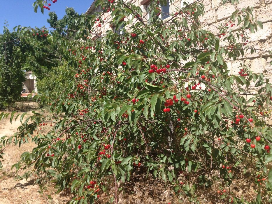 Производственная база.