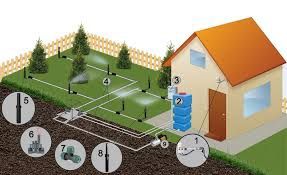 Озеленение участка