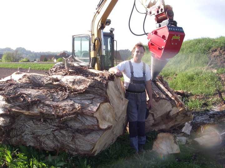 Despicator de busteni cu con filetat