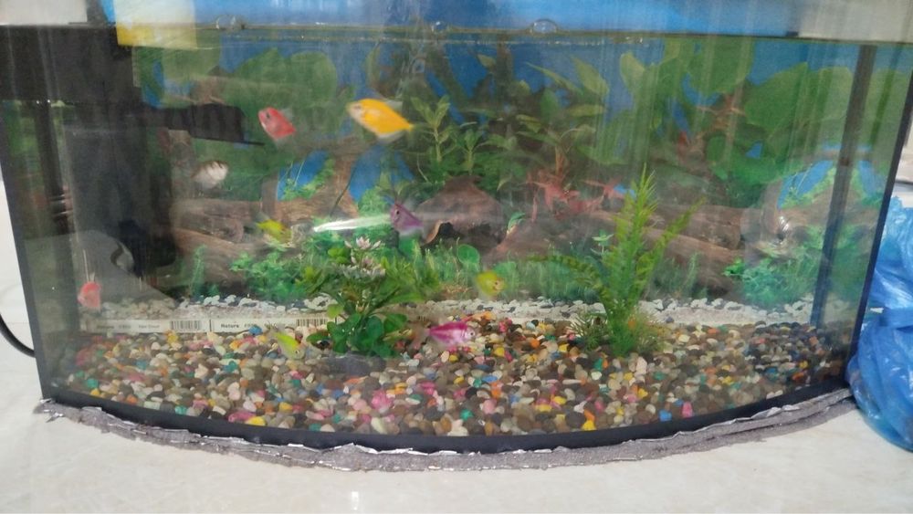Аквариум 40литров