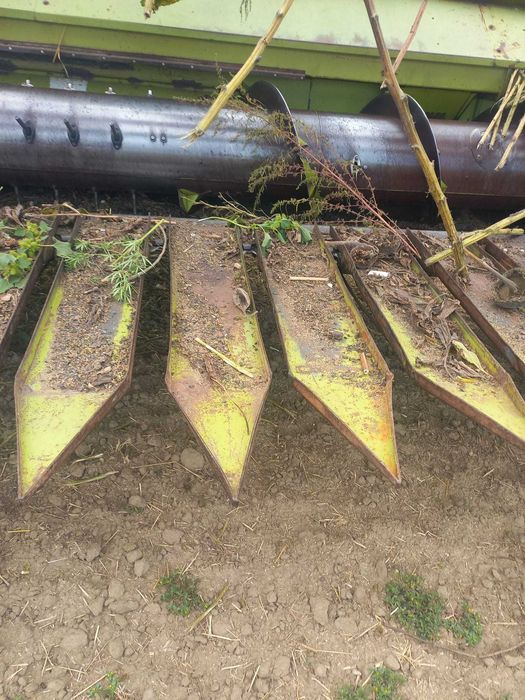 vand echipament recoltat floarea soarelui original claas cu tavite