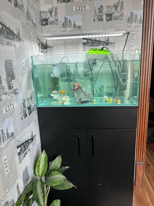 Akvarium sotiladi