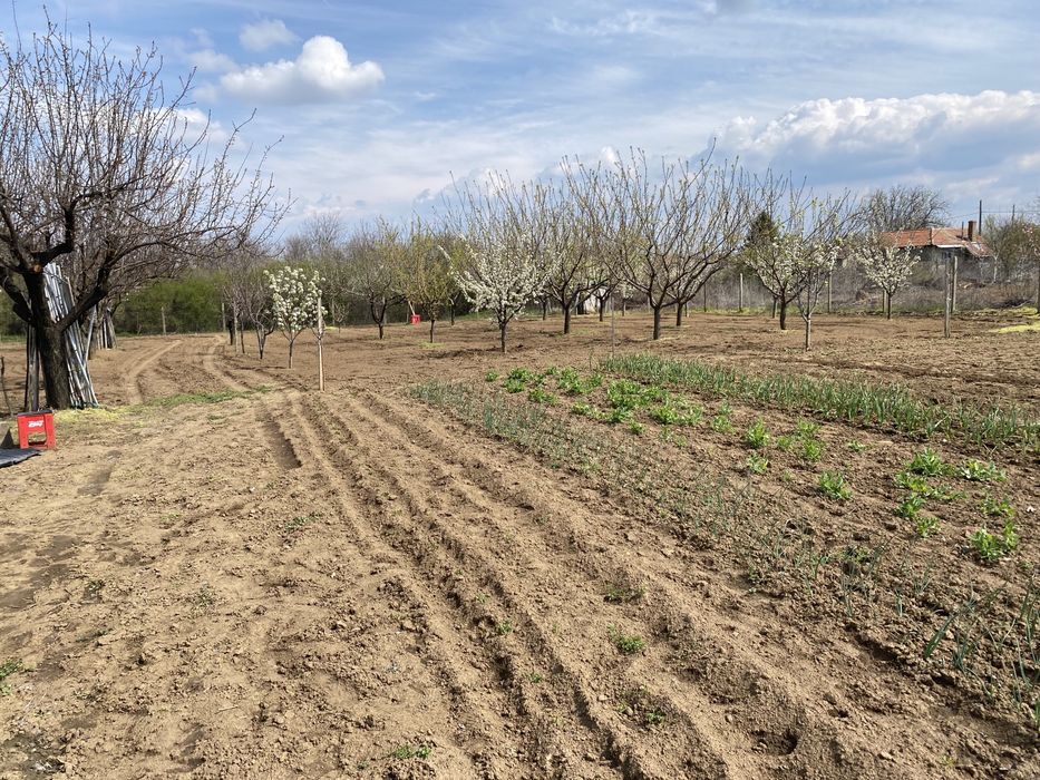 Продава се Парцел в Силистра, Север - 1278 кв.м за 12 €/кв.м - Снимка #2