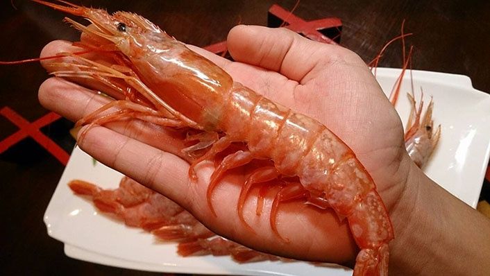 Лангустины Аргентина