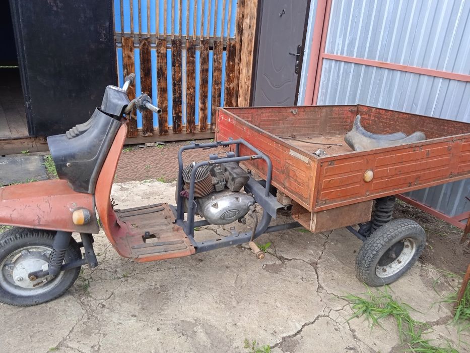 Продам муравей .