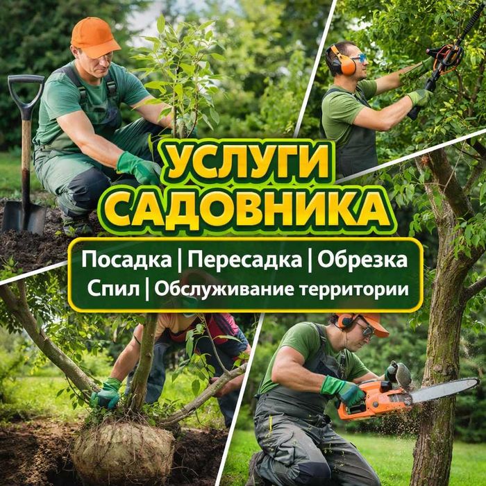 Услуги садовника | Посадка | Обрезка | Спил | Пересадка деревьев