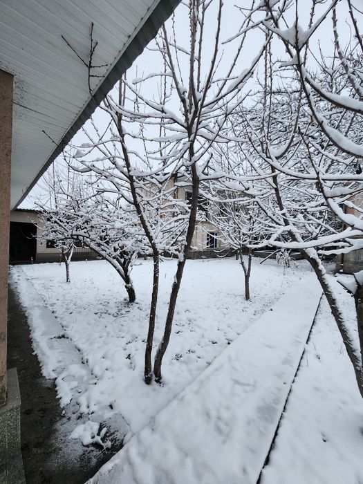 Yer sotiladi 7 sotokdan ortiq Angren markazidan