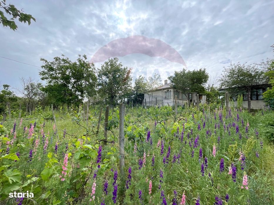 Casă și Teren Generos la Granița cu Republica Moldova!