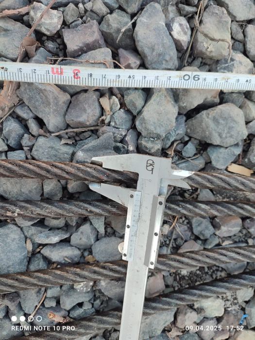 Паук четырех концывой