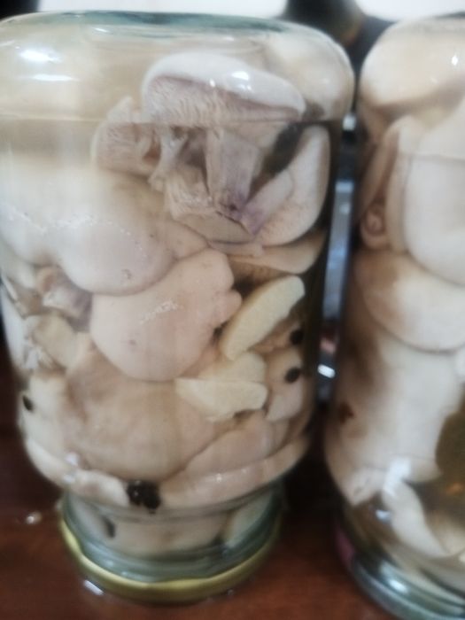 Маринованные грибы