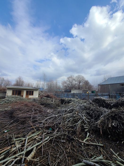 Yer uchastka hayvonot bog'i to'g'risigi ko'cha 4.2 sotiq sotiladi..