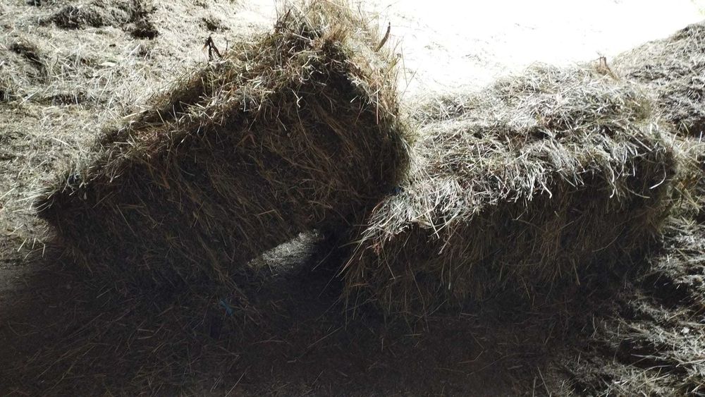 Vând balotii de fân