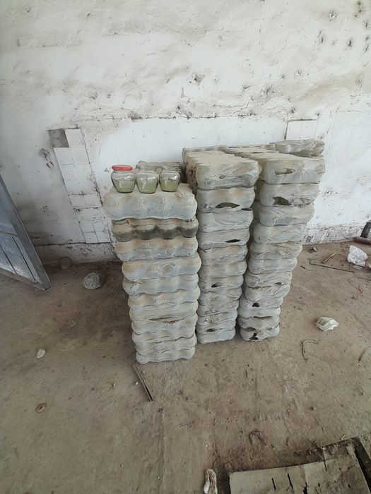 Banka bonka islatilmagan 6 mingta bor  yangi Chang Bogan xalos