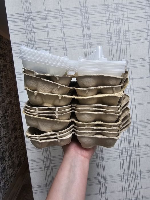Лотки для яиц за шоколад