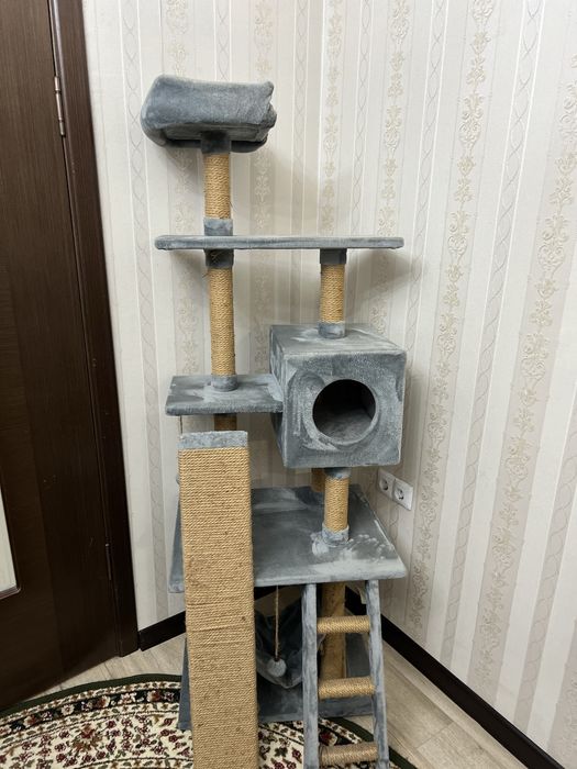 Супер Кошкин дом