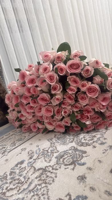 продам 101 розу!