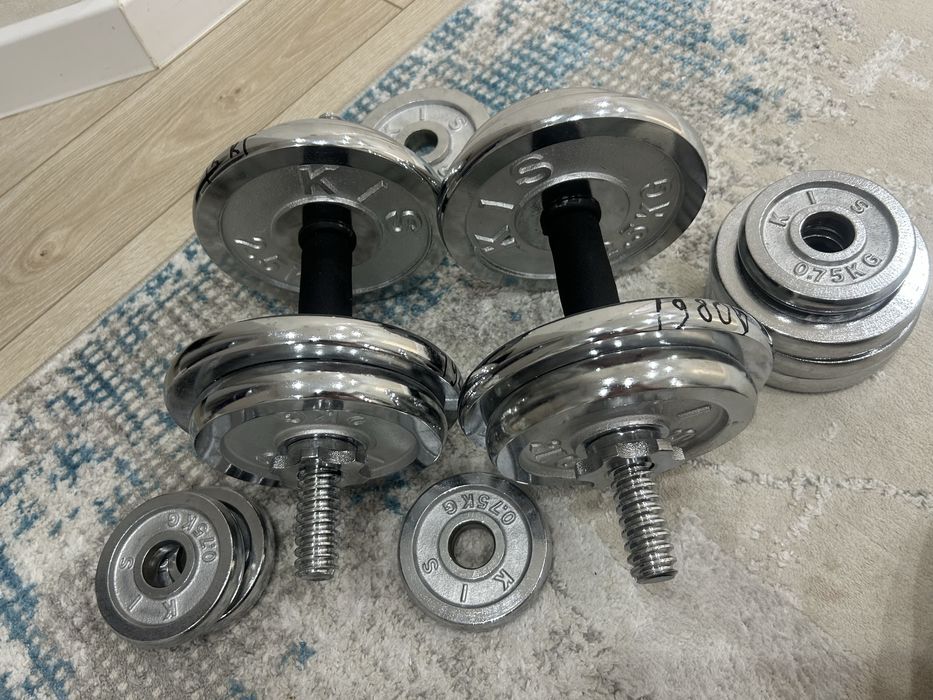 Гантели пара 25000
