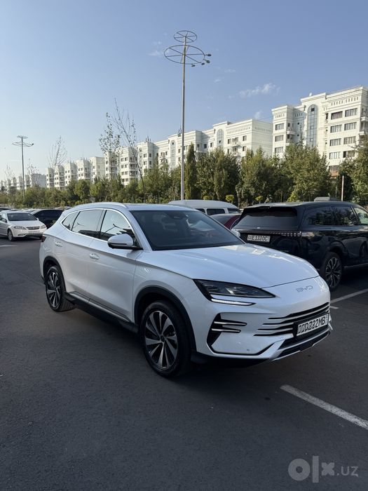 Byd chempion 2025