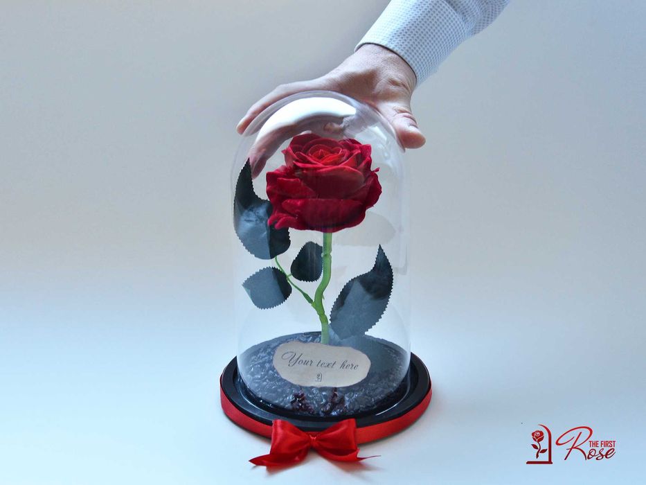 Вечна Роза в Стъкленица с БЕЗПЛАТНИ Лампички / Подарък за Рожден Ден