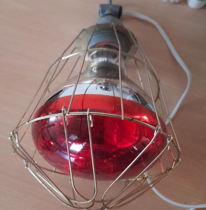 В продаже имееться инвентарь для С/Х птицы