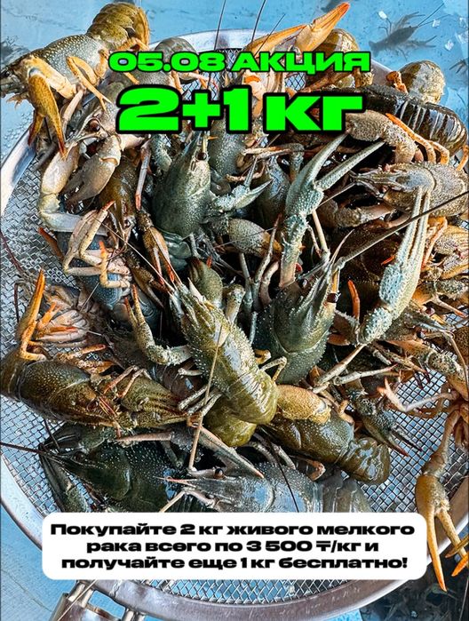 Раки живые и Варёные доставка