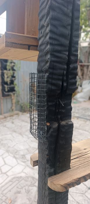 Кормушка для белок и птиц