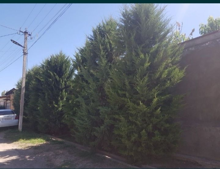 Продается земля .