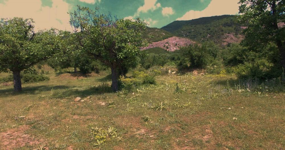 Продава се Парцел в Карлово - 20500 кв.м за 47 €/кв.м - Снимка #1