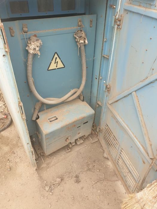 Маслины в/к 10 новый