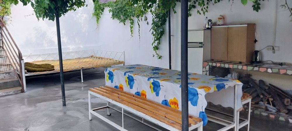Dacha дача чарвак