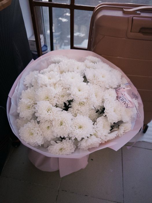 Свежие цветы: хризантемы!