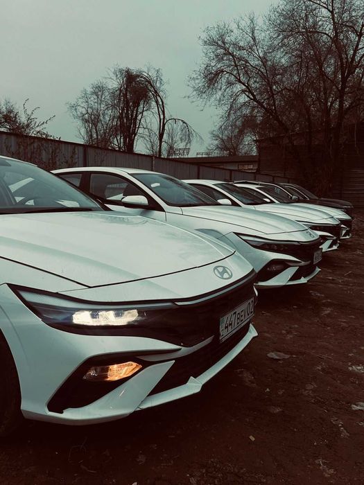 Аренда авто Алматы