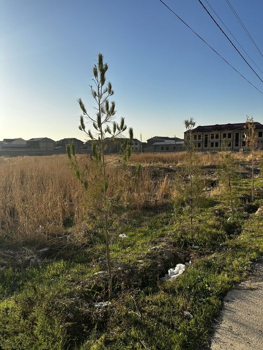 Yer sotiladi 5 sotix! Sergeli, Buyuk avlod mahallasi