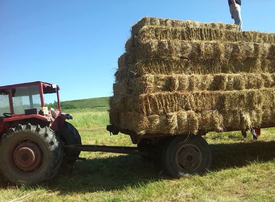 Tractor Massey Ferguson